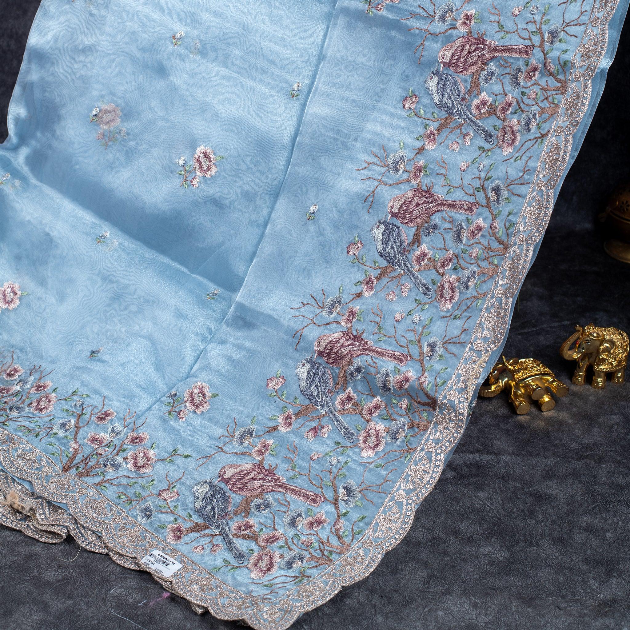 Tissue Kora Saree with Embroidery Work on the Border-Powdered Blue Secondary image