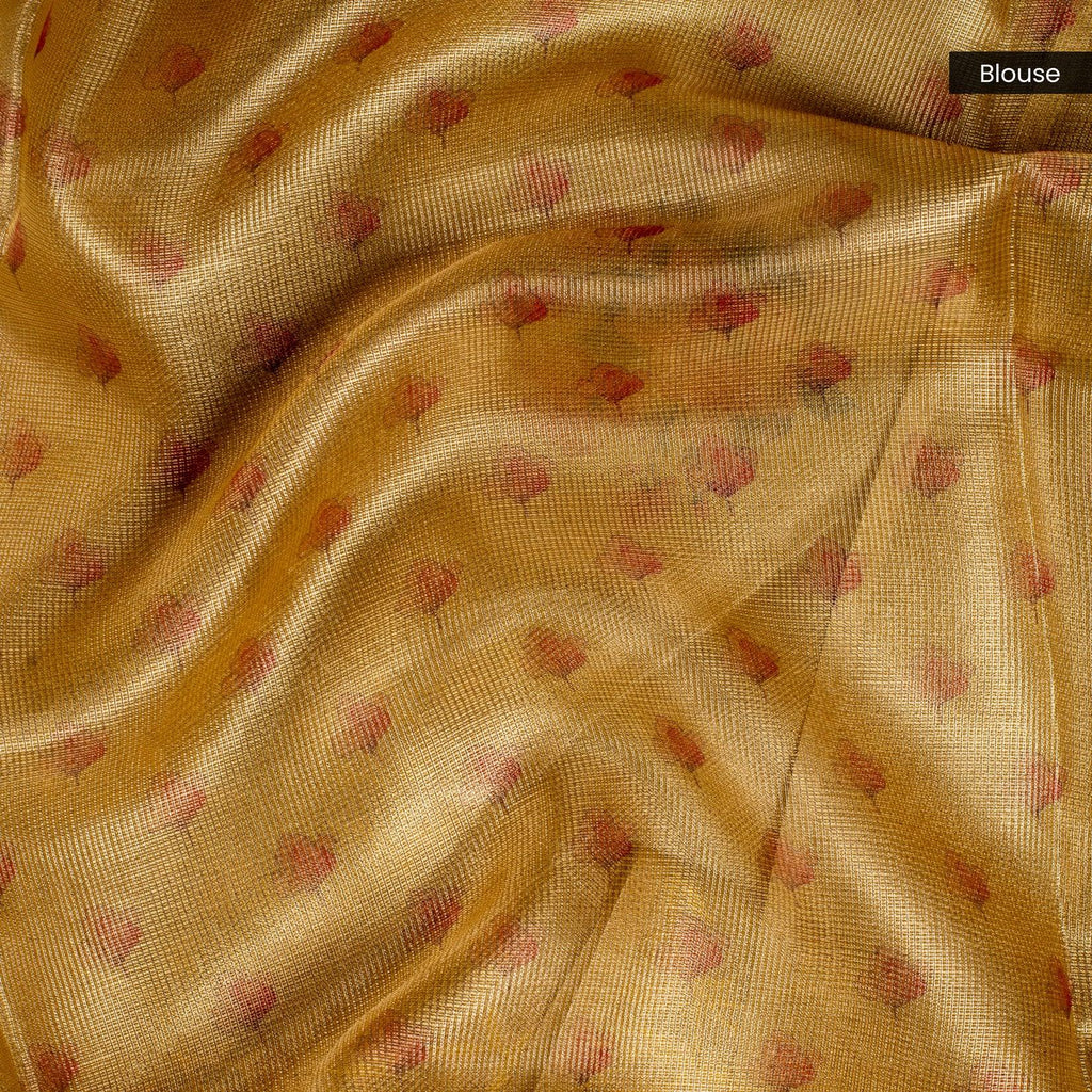 Tissue Organza Saree – Elegant Floral Cutwork Embroidery Design - Kleem Boutique