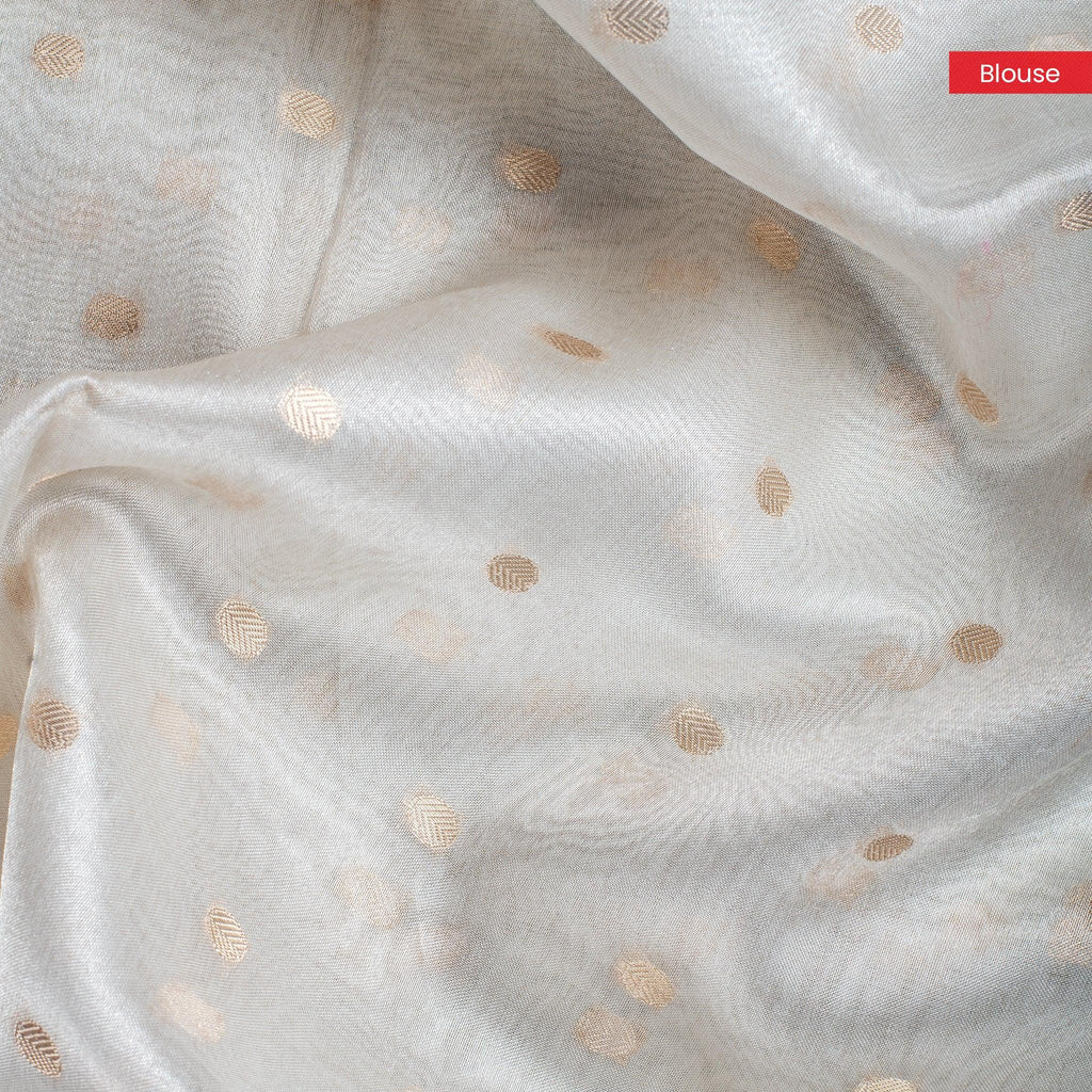 Tissue Kora Saree with Zari Butti & Floral Cutwork Border – Silver - Kleem Boutique