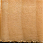 Soft Tissue Organza Off-White Saree with Tissue Applique Floral Design - Kleem Boutique