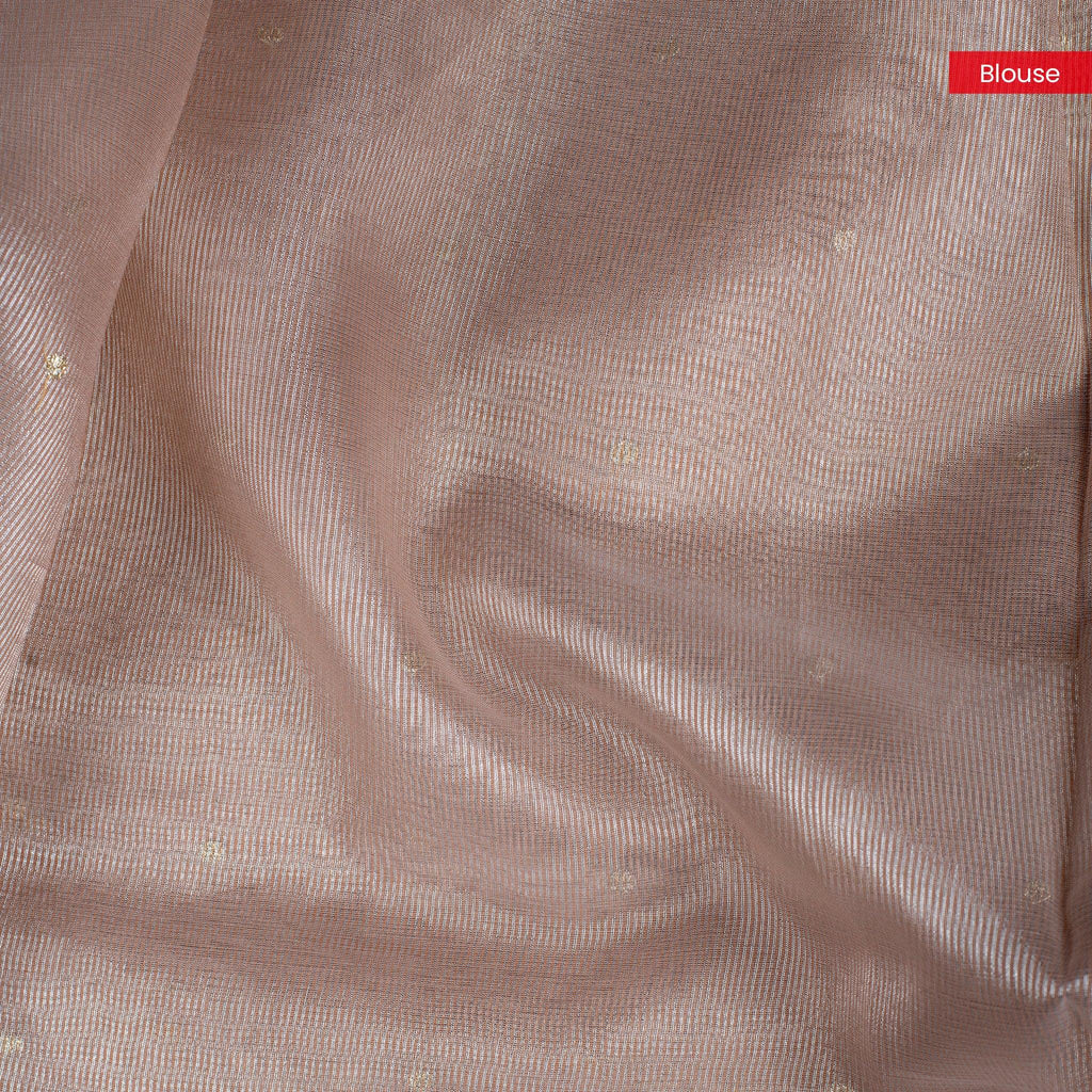 Tissue Organza Saree with Paithani-Inspired Border - Mauve - Kleem Boutique