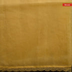 Soft Tissue Organza Off-White Saree with Tissue Applique Floral Design - Kleem Boutique