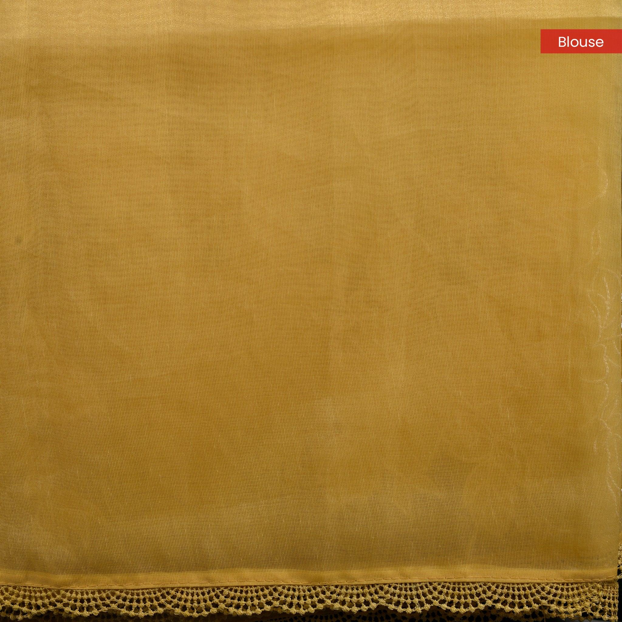 Soft Tissue Organza Off-White Saree with Tissue Applique Floral Design - Kleem Boutique