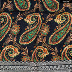 Pure Handloom Kora Silk Saree with Sequins Embroidery – Black