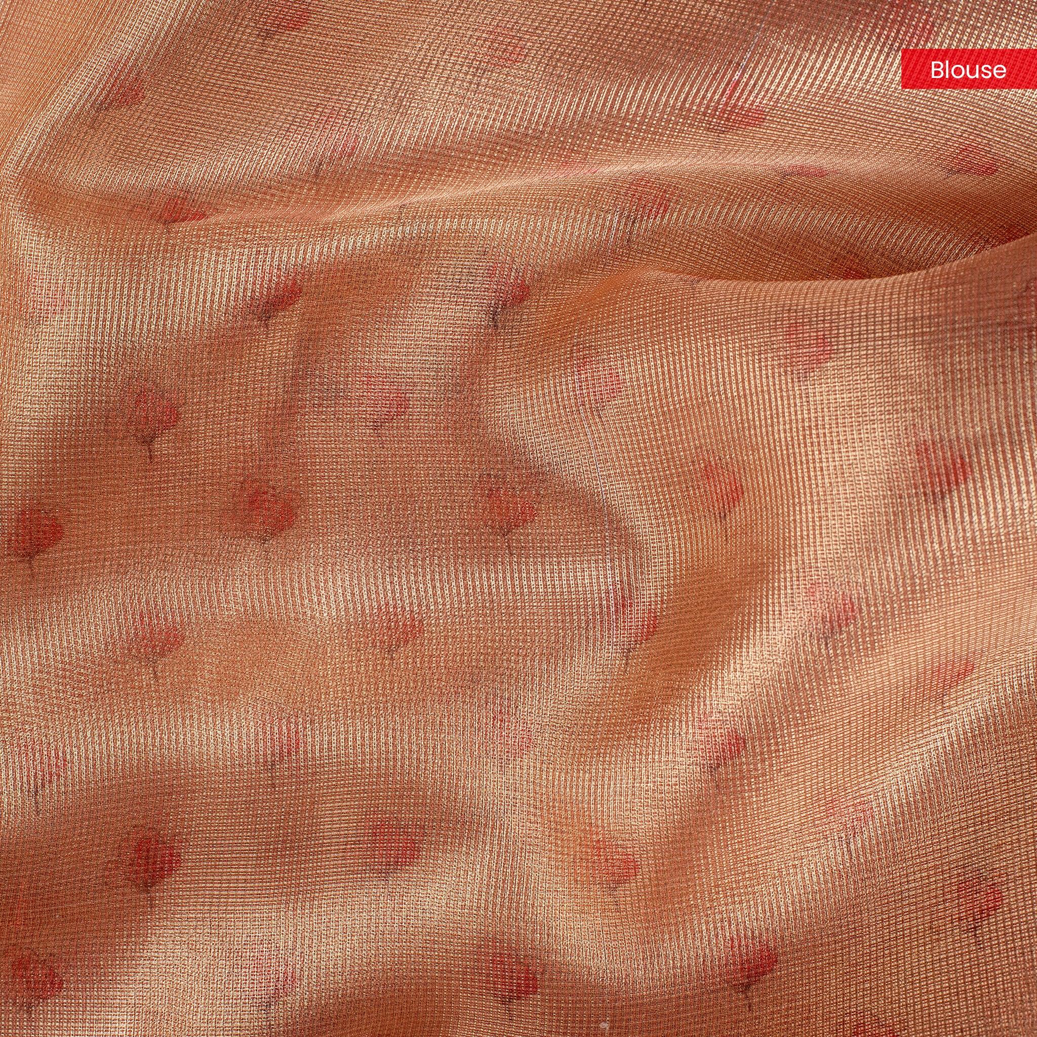 Tissue Organza Saree with Digital Floral Cutwork Embroidery - Kleem Boutique