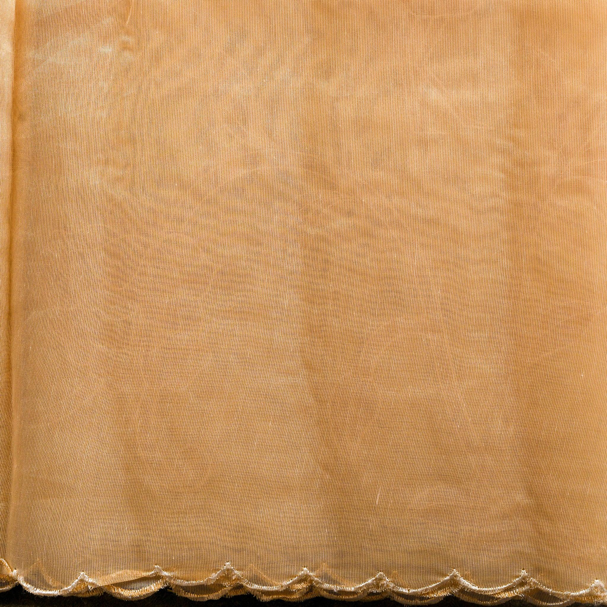 Soft Tissue Organza Off-White Saree with Tissue Applique Floral Design - Kleem Boutique