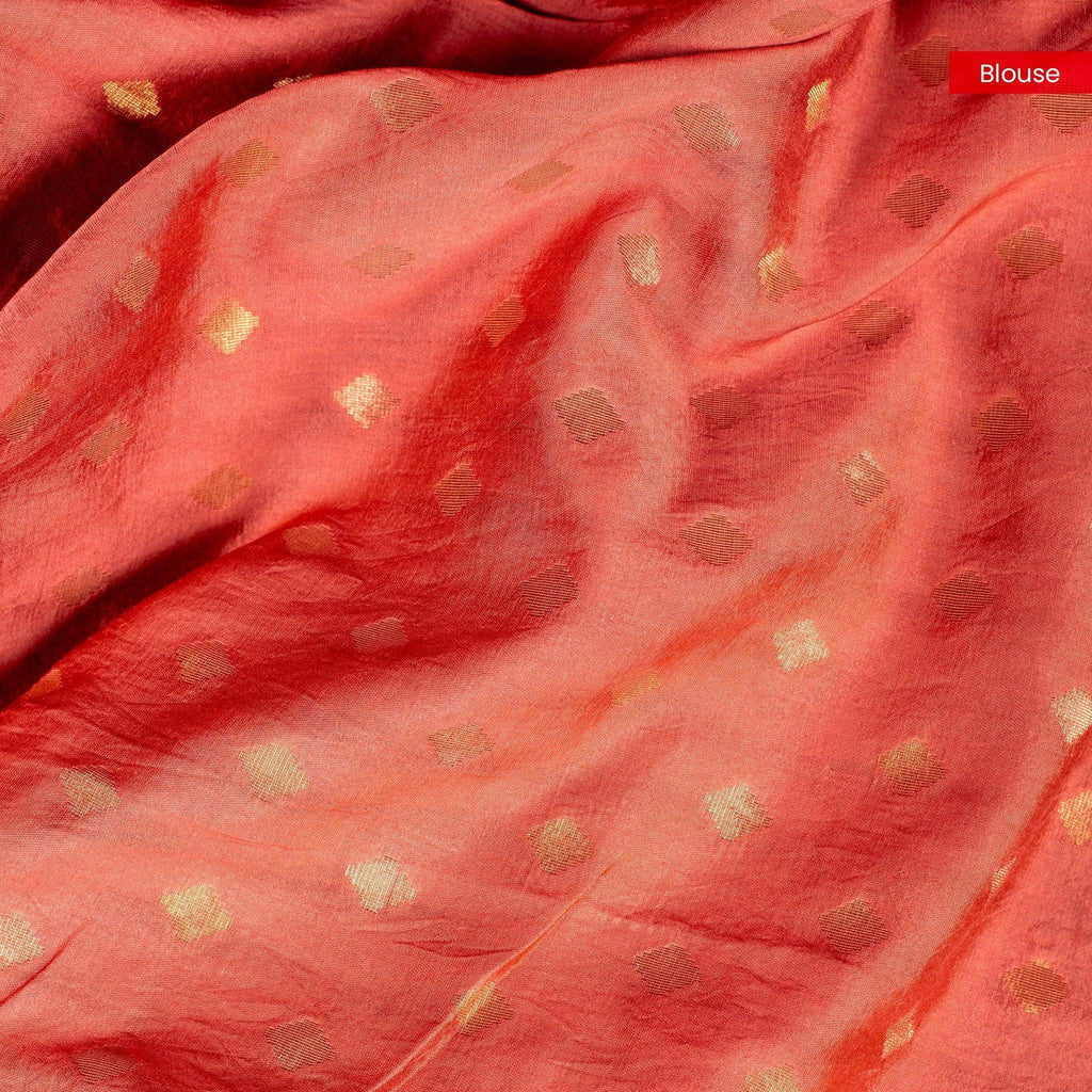 Crush Tissue Saree – Rust Colour - Kleem Boutique