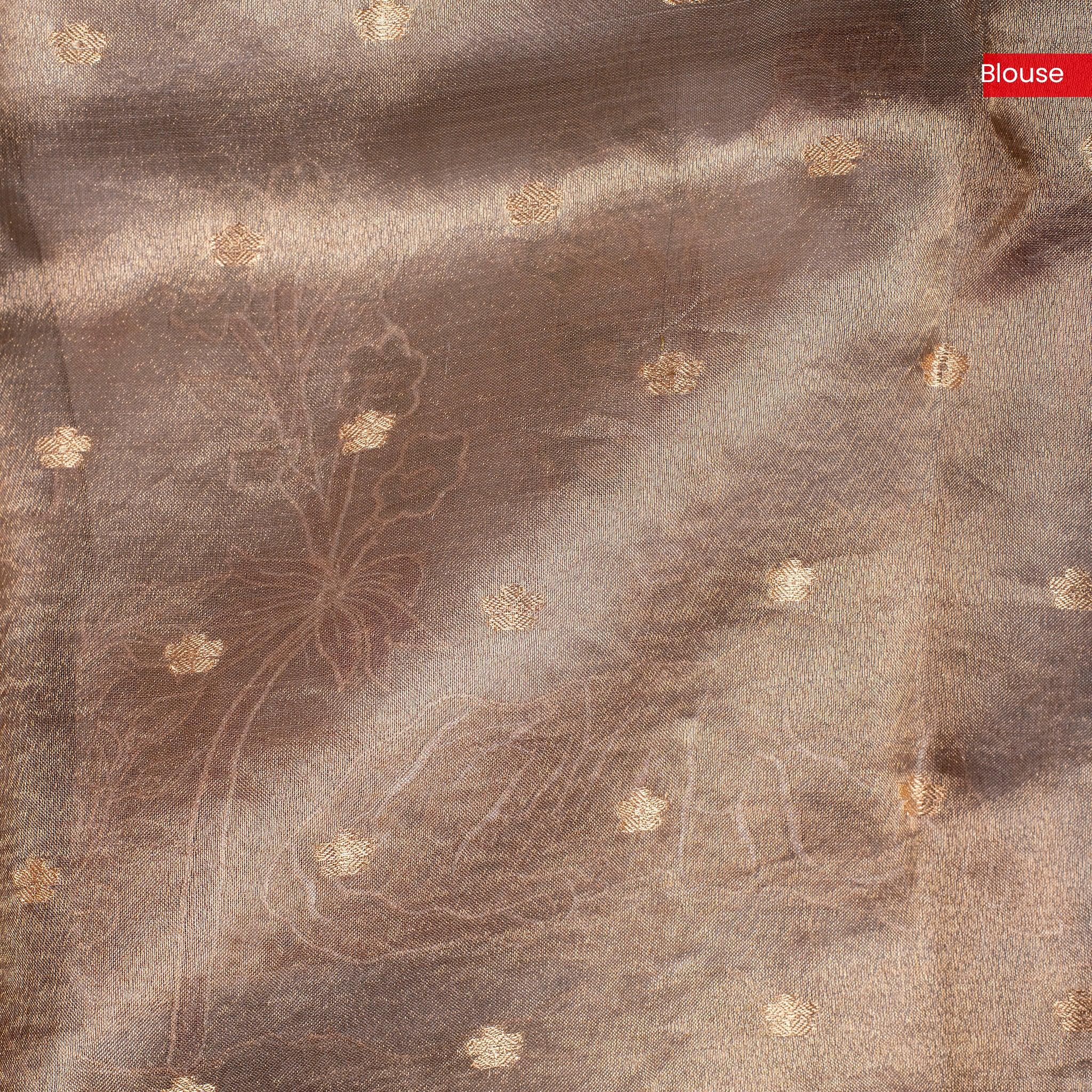 Organza Saree – Animal & Floral Appliqué Jungle Concept - Kleem Boutique