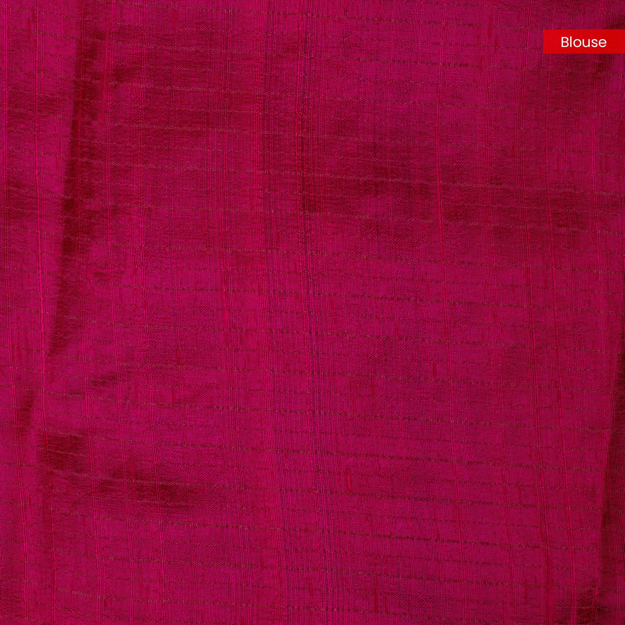 Handloom Organza Tissue Saree – Floral Digital Print with Hand Embroidery - Kleem Boutique