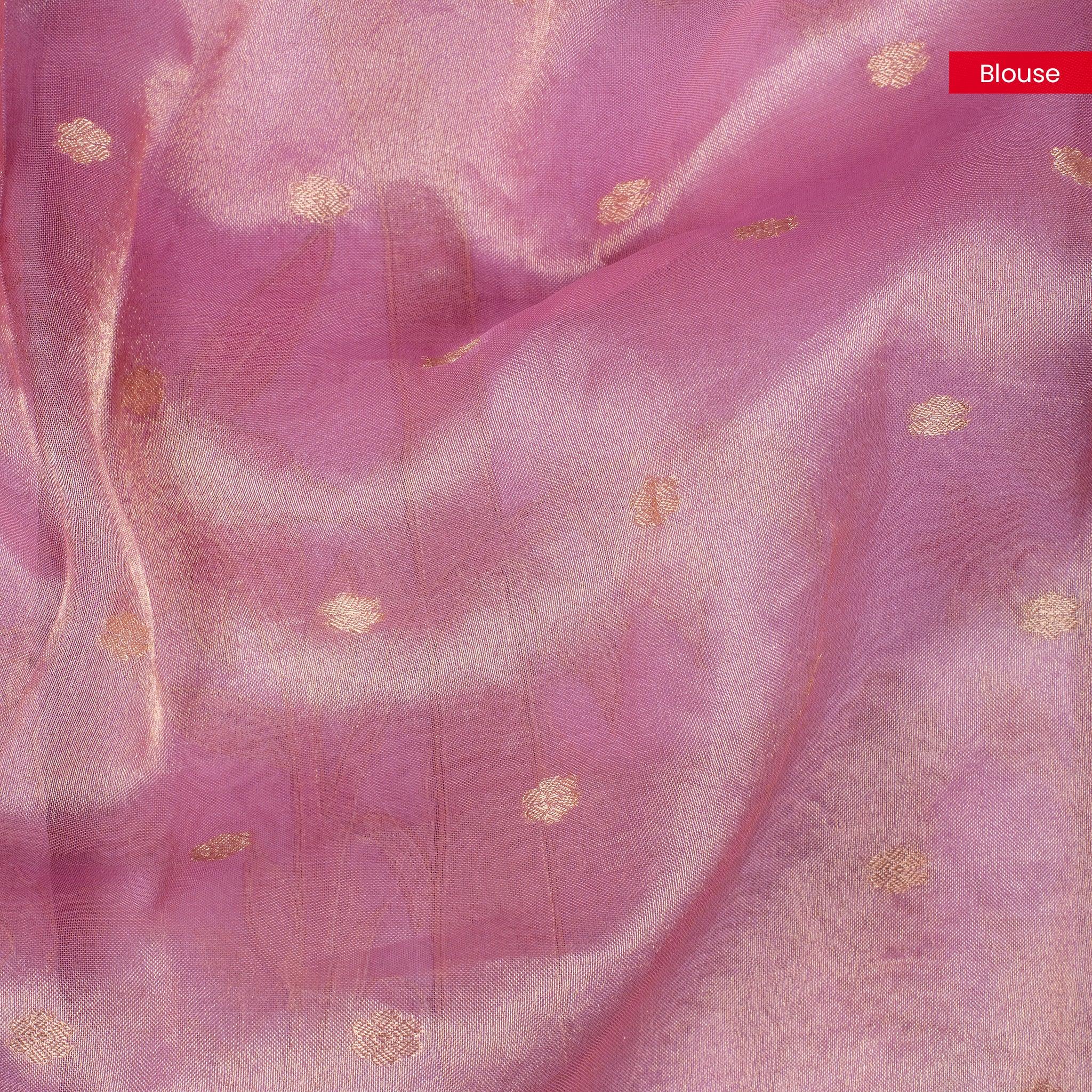 Organza Saree – Animal & Floral Appliqué Jungle Concept - Kleem Boutique